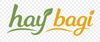 Hay Bagi